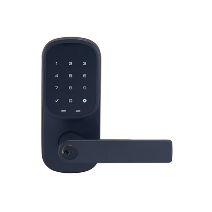 Wi-Fi Connected App Control Smart Keypad Entry Lock